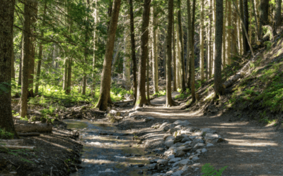 Top 3 Things to Do in Skowhegan, Maine Near Brickyard Hollow’s Restaurant & Brewpub