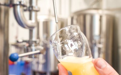 New on Tap: The Opus Series & Maine Brewer’s Guild Collab!