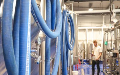 A Behind-The-Scenes Look at How Our Maine Beer Is Brewed