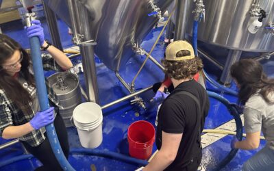 Maine Craft Brewery Check-In: Closures, Consolidations, and the Independent Path Forward at Brickyard Hollow