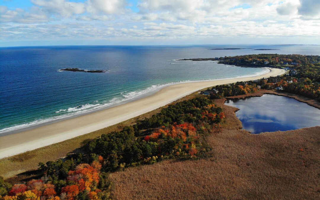 Aerial view of colorful autumn foliage over the Scarborough Beach State Park near Portland, Maine, United States